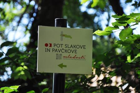 Obcinski praznik Obcine Mirna Pec (10)